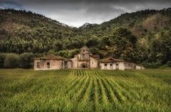 Monasterio San Antolín de Bedón