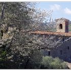 monastero di campagna..