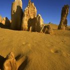 Monats Thema Gelb: Pinnacles Nat. Park. (WA)