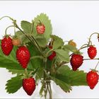 Monatserdbeeren... 