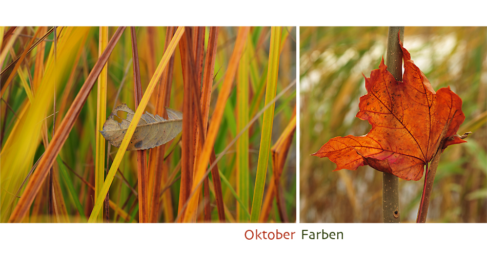 Monatsfarben: Oktober