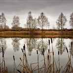 Monatsfotos