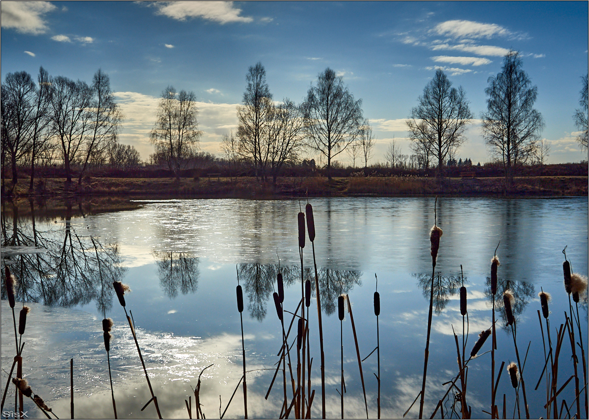 Monatsfoto Februar 2022