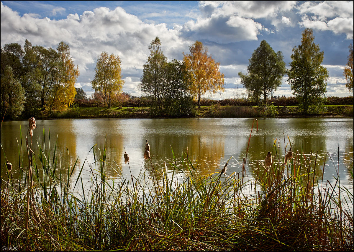 Monatsfoto Oktober 2022