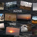   die Natur in 12 Monaten