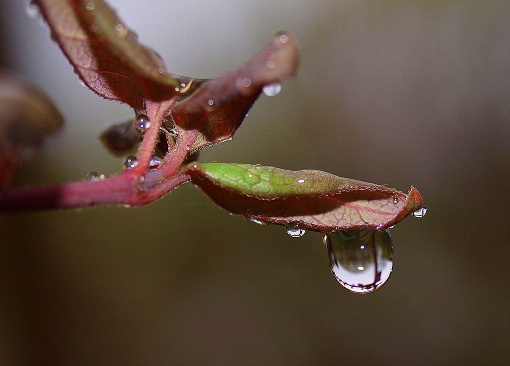 Monatsthema "Wasser"