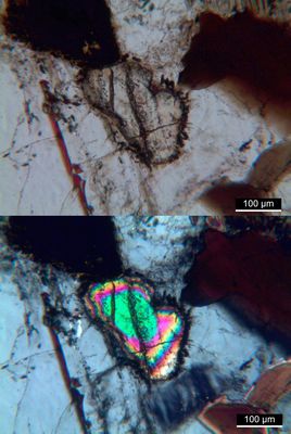 Monazit in Granat-Cordierit-Sillimanit-Gneis aus dem eiszeitlichen Geschiebe in Norddeutschland