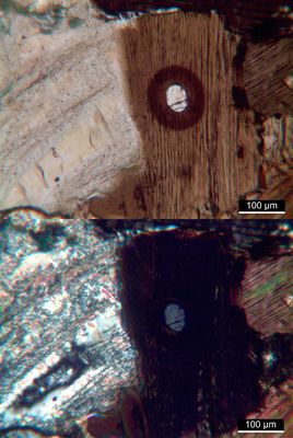 Monazit in Granat-Cordierit-Sillimanit-Gneis aus dem eiszeitlichen Geschiebe in Norddeutschland
