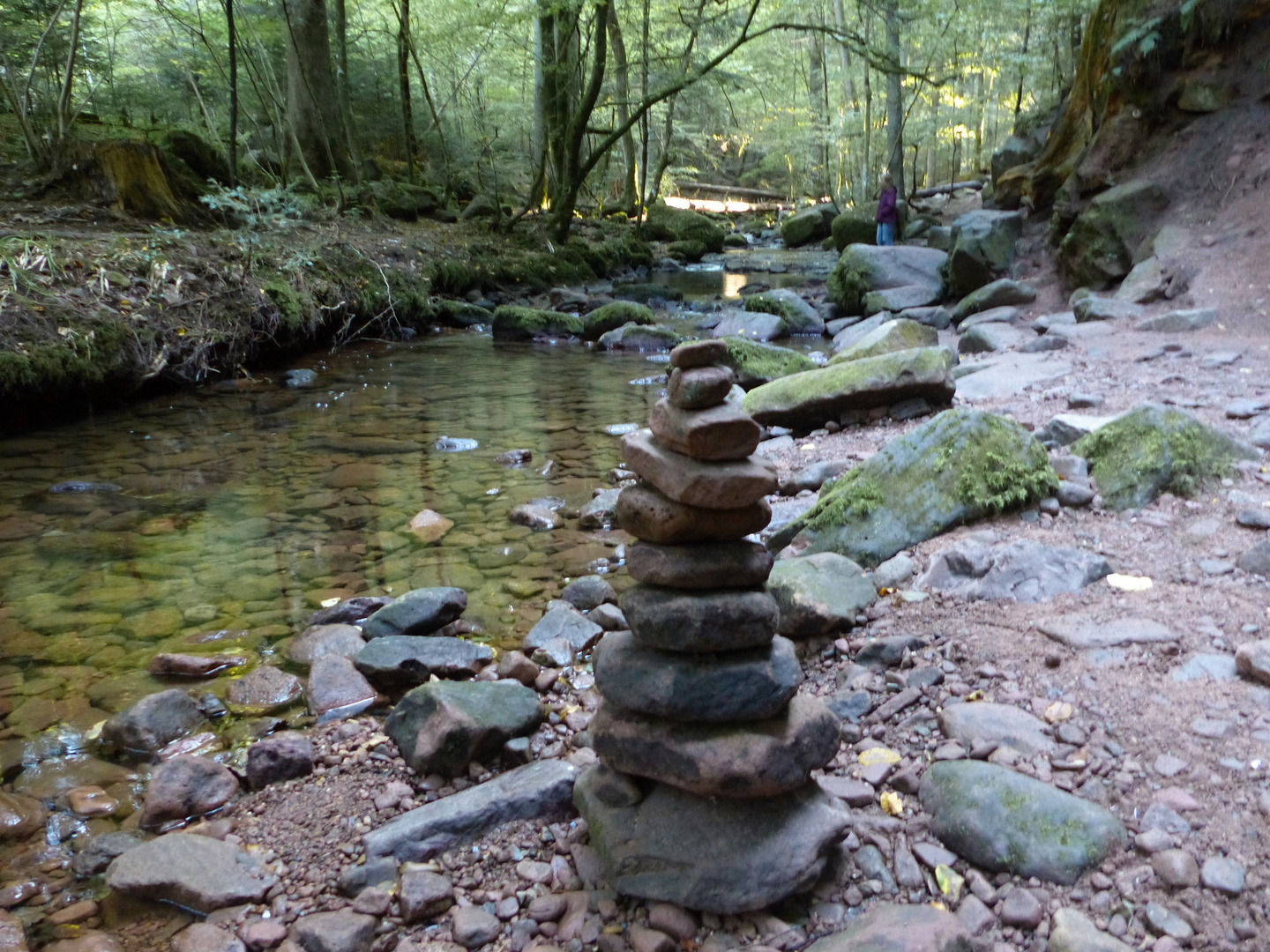 Monbach / Black Forest ( Schwarzwald )   -  Germany