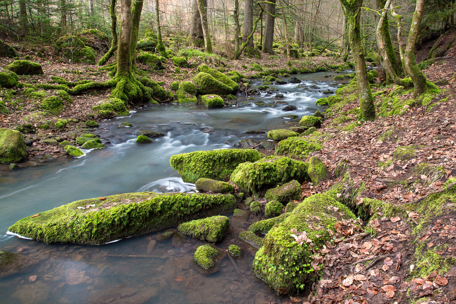 Monbach, vor seinem Ende in Nagold