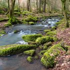 Monbach, vor seinem Ende in Nagold