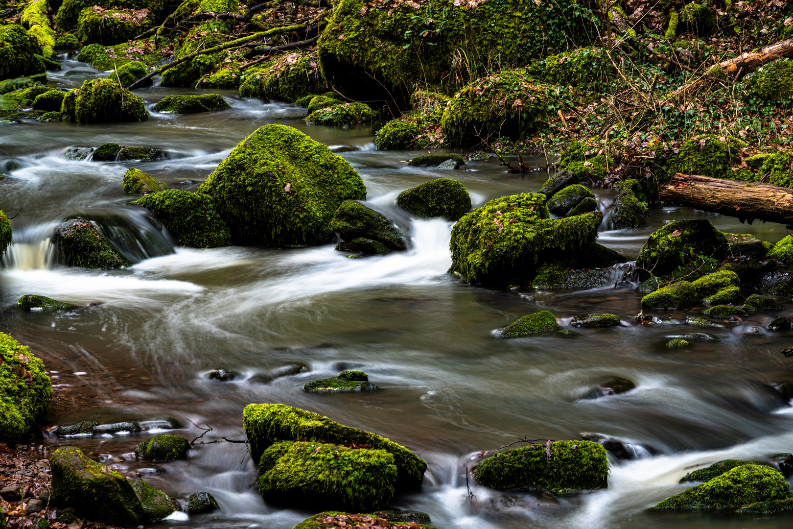 Monbachschlucht 2