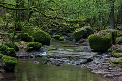 Monbachschlucht