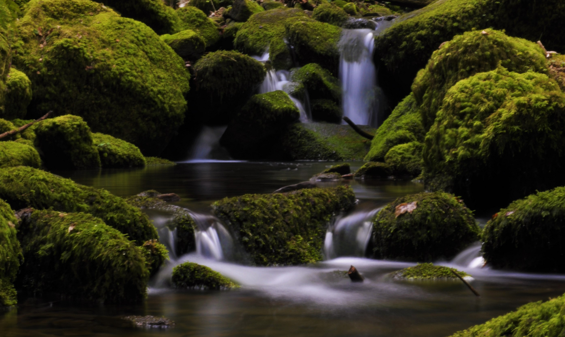 Monbachschlucht Bad Liebenzell 2