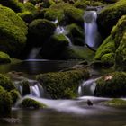 Monbachschlucht Bad Liebenzell 2