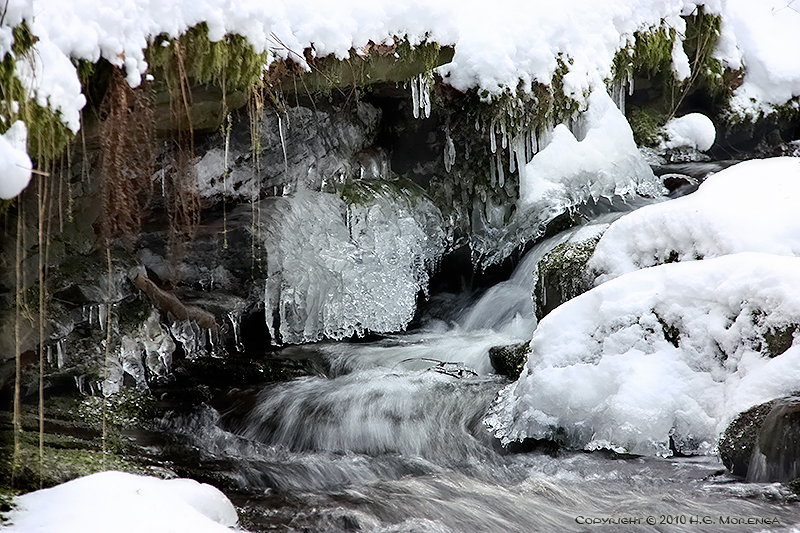 Monbachtal (1)