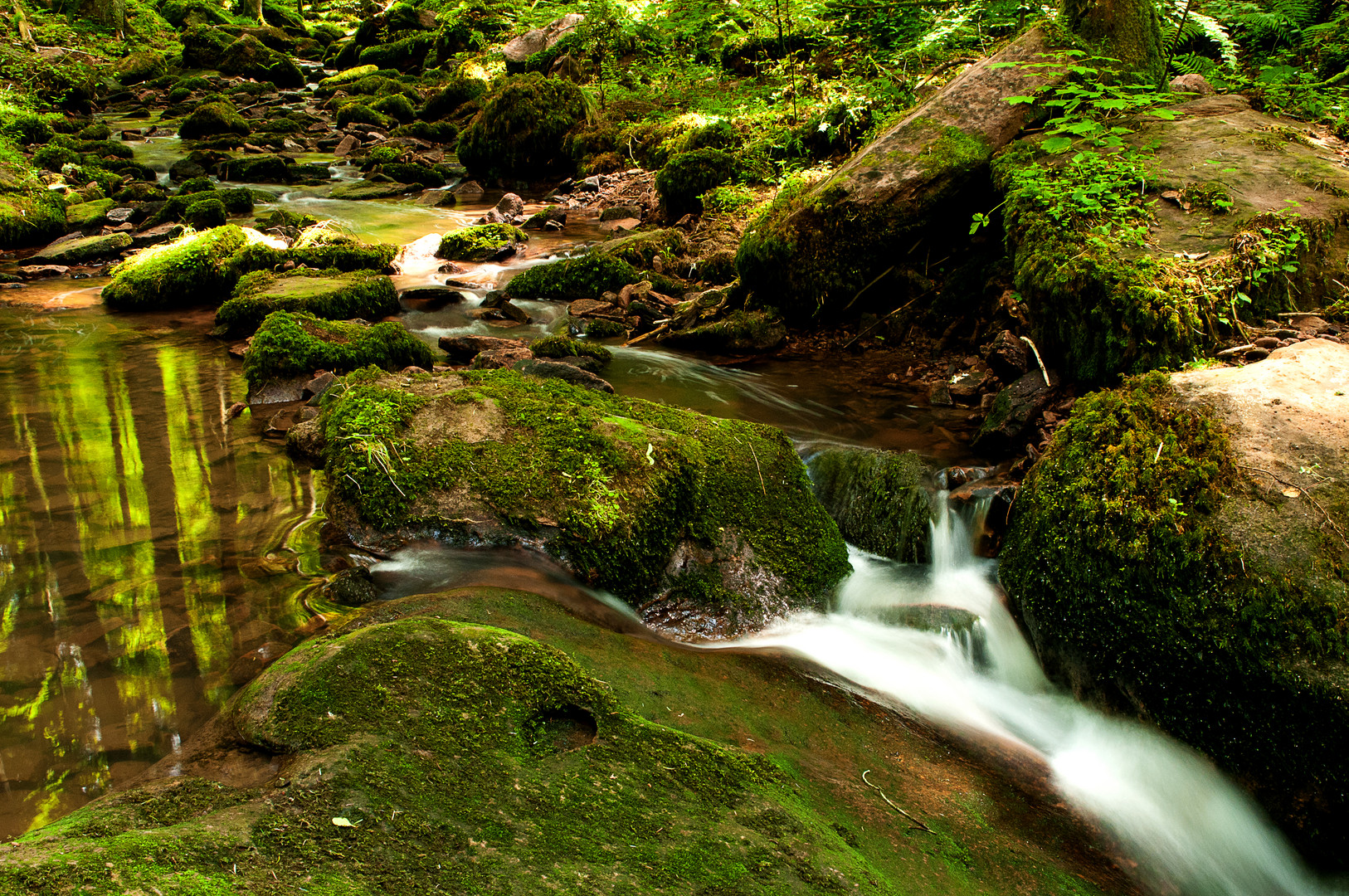 Monbachtal - Bachlauf die Zweite