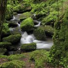 Monbachtal bei Bad Liebenzell im Schwarzwald