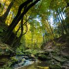 Monbachtal im Herbst