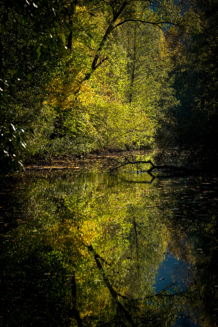 Monbachtal im Herbst