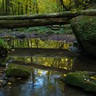 Monbachtal im Herbst