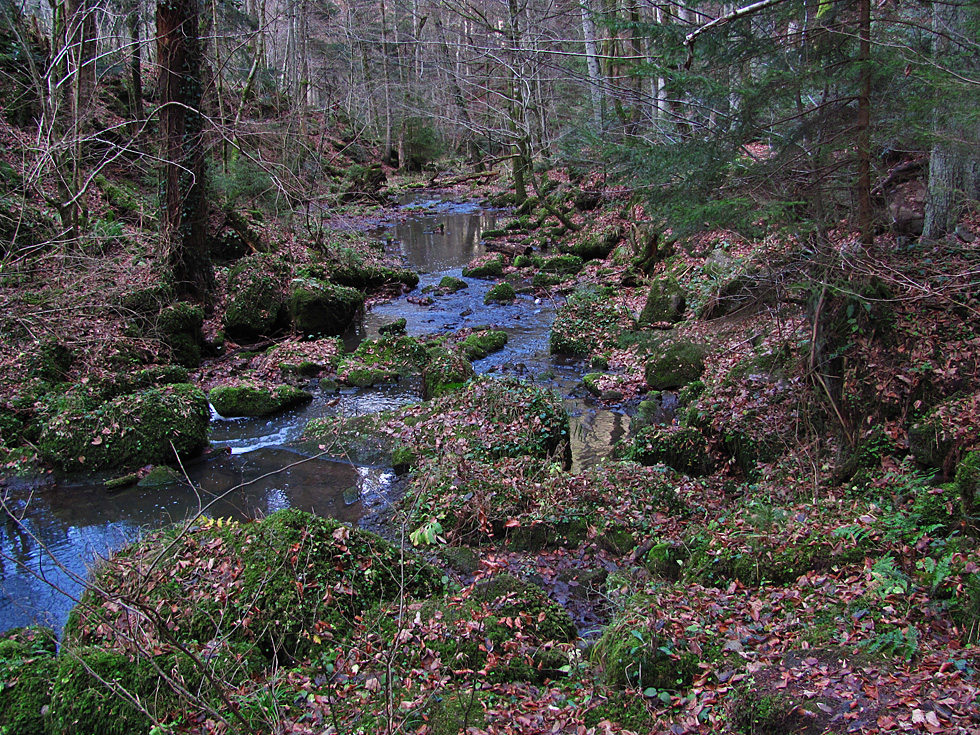 Monbachtal-Schlucht