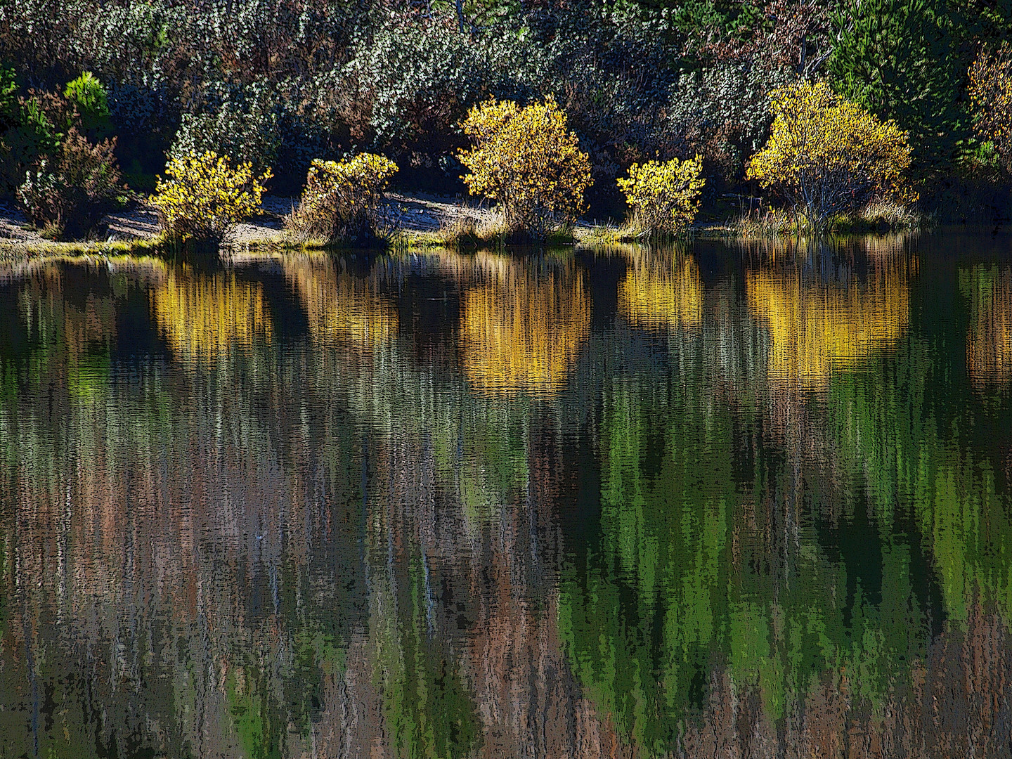 moncayo-11