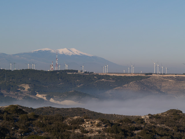 MONCAYO