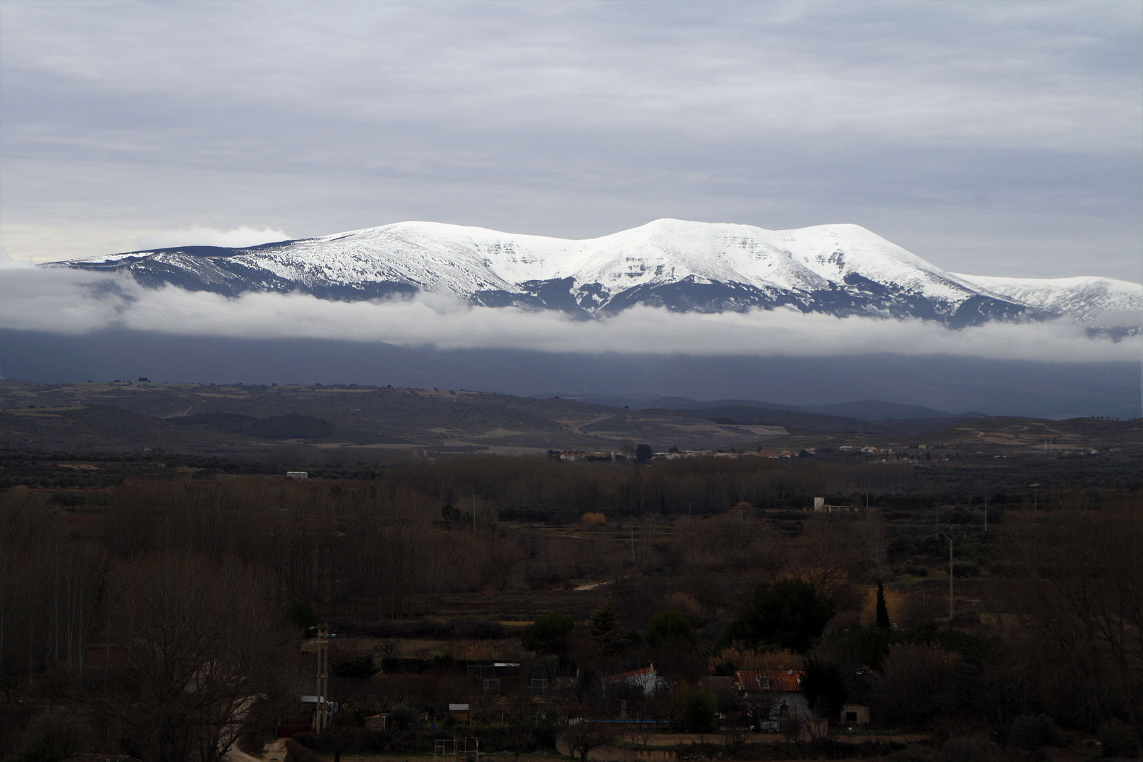 Moncayo