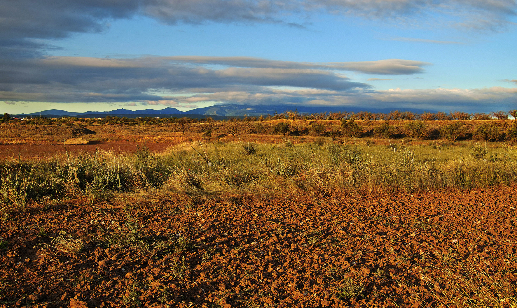 MONCAYO ENTRE NUBES.