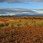 MONCAYO ENTRE NUBES.