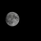 Mond 02.11.17