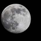 Mond 06-04-20