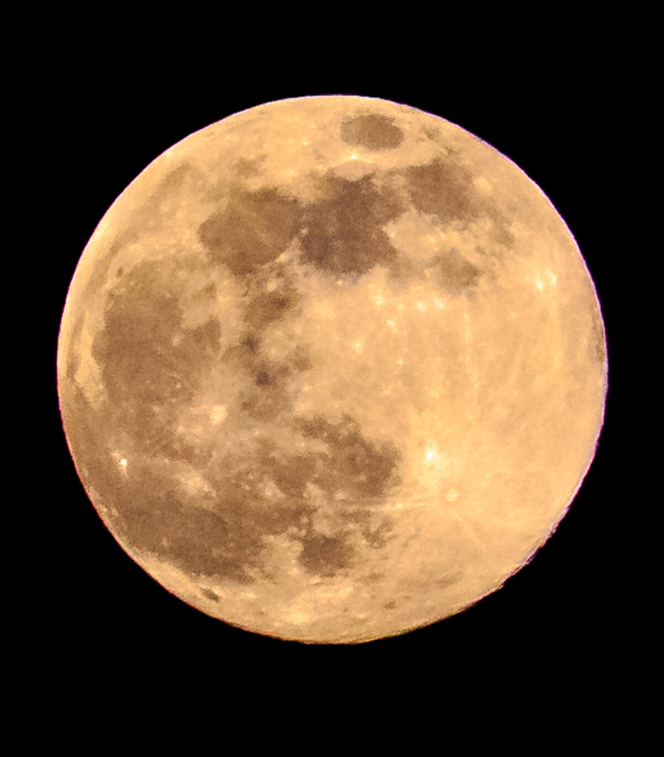 Mond 07.04.2020