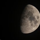 Mond 07.10.2019 (1)