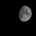 Mond  07.11.19, mit dem goldenen Henkel