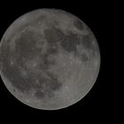 Mond 09.03.2012