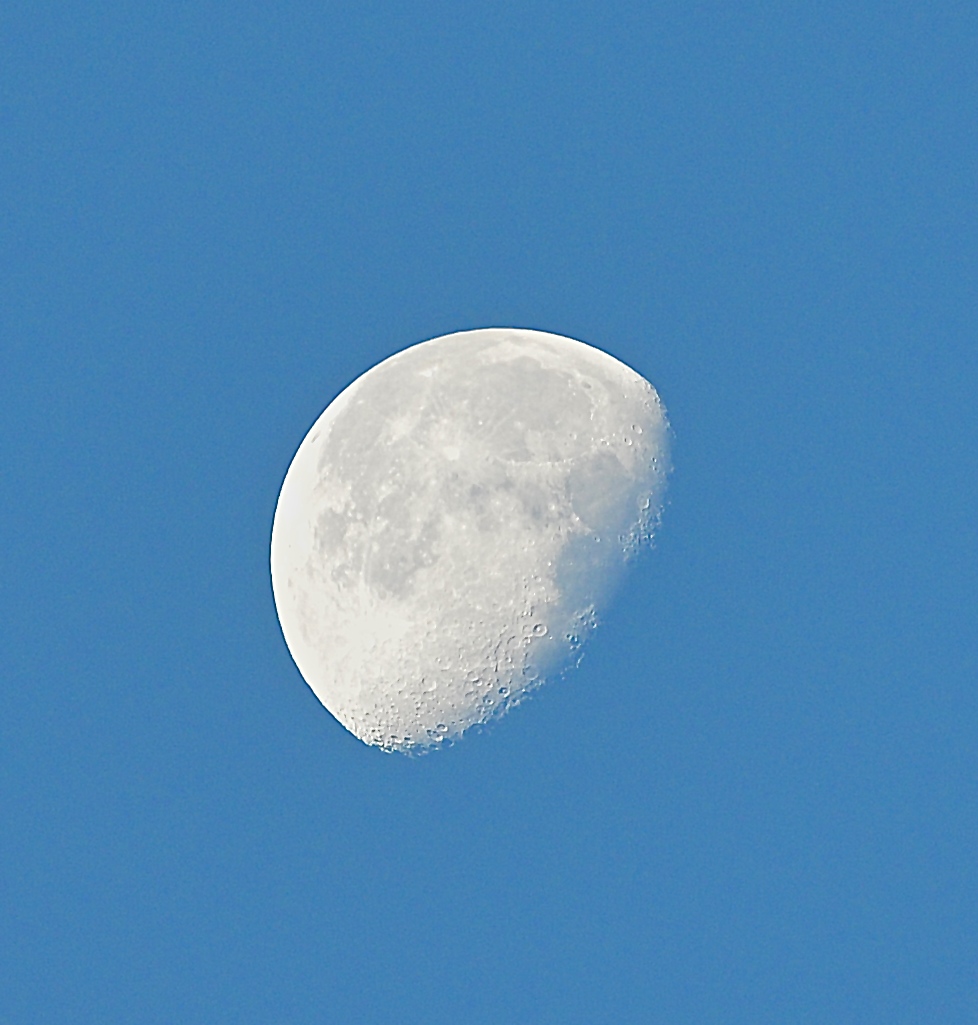 Mond 1