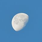 Mond 1