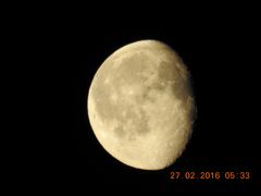 Mond 1