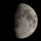 Mond 12.08.2016