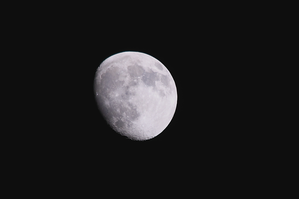 Mond 16.01.2011