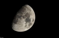 Mond 17.11.2018 (2)