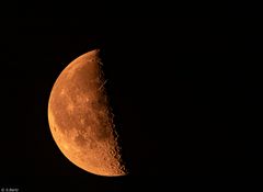 Mond 19.12.2019 (1)