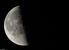 Mond 19.12.2019 (2)