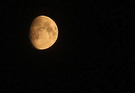 mond 2