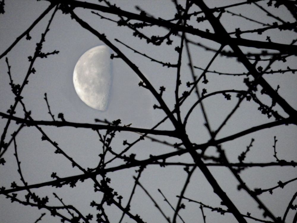 Mond 2