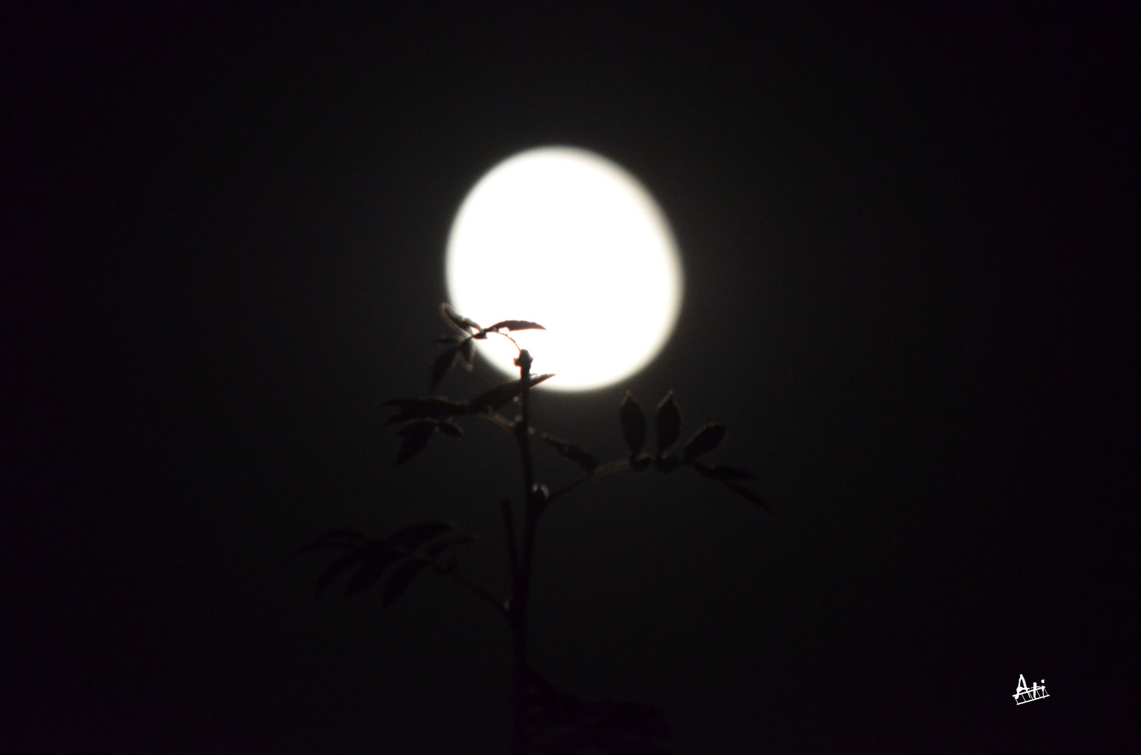 Mond 2