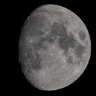 Mond-2-PB230827