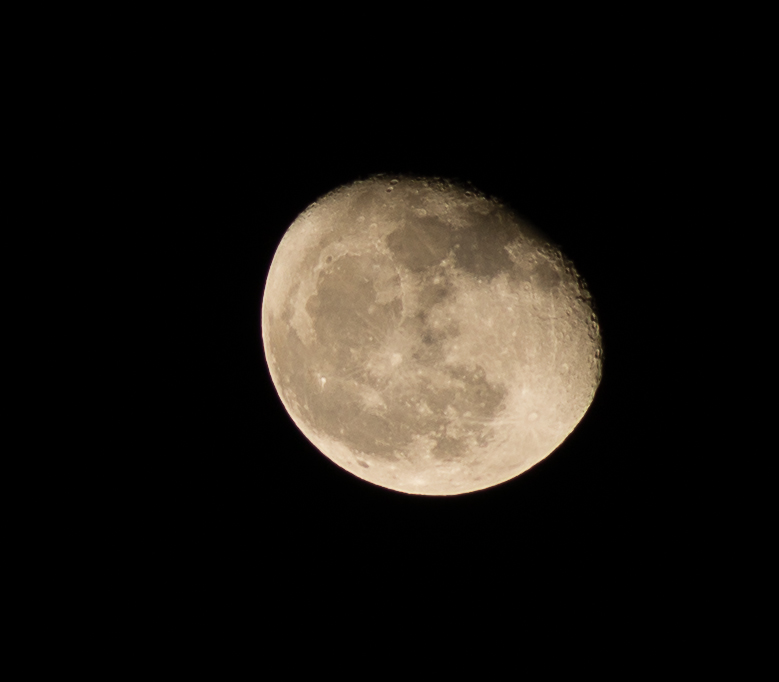 Mond 20.12.2013